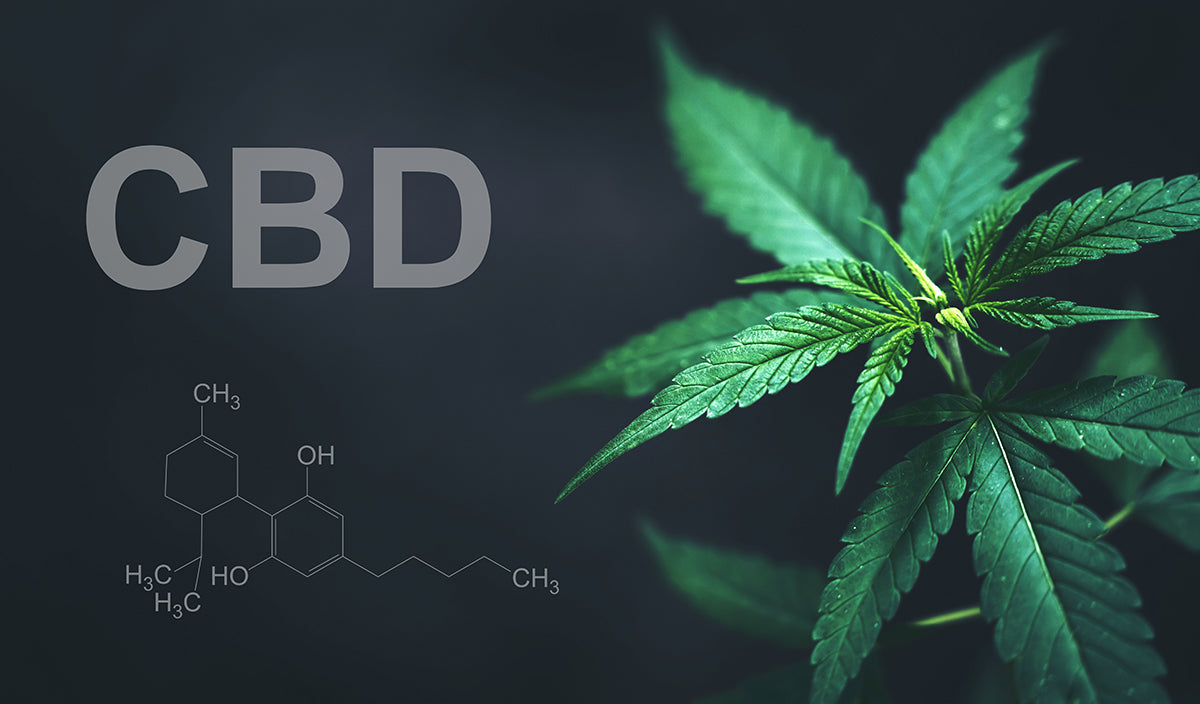 O que é o CBD?