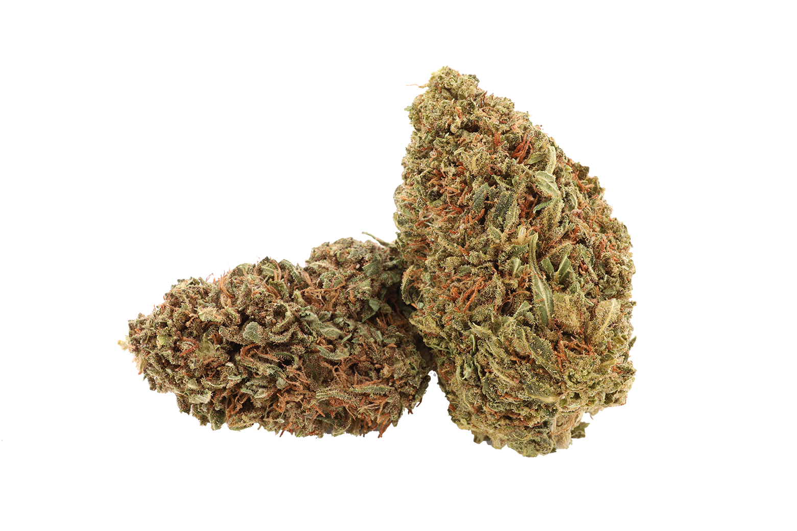 Amnesia Haze CBD