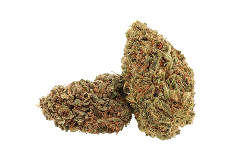 Amnesia Haze CBD