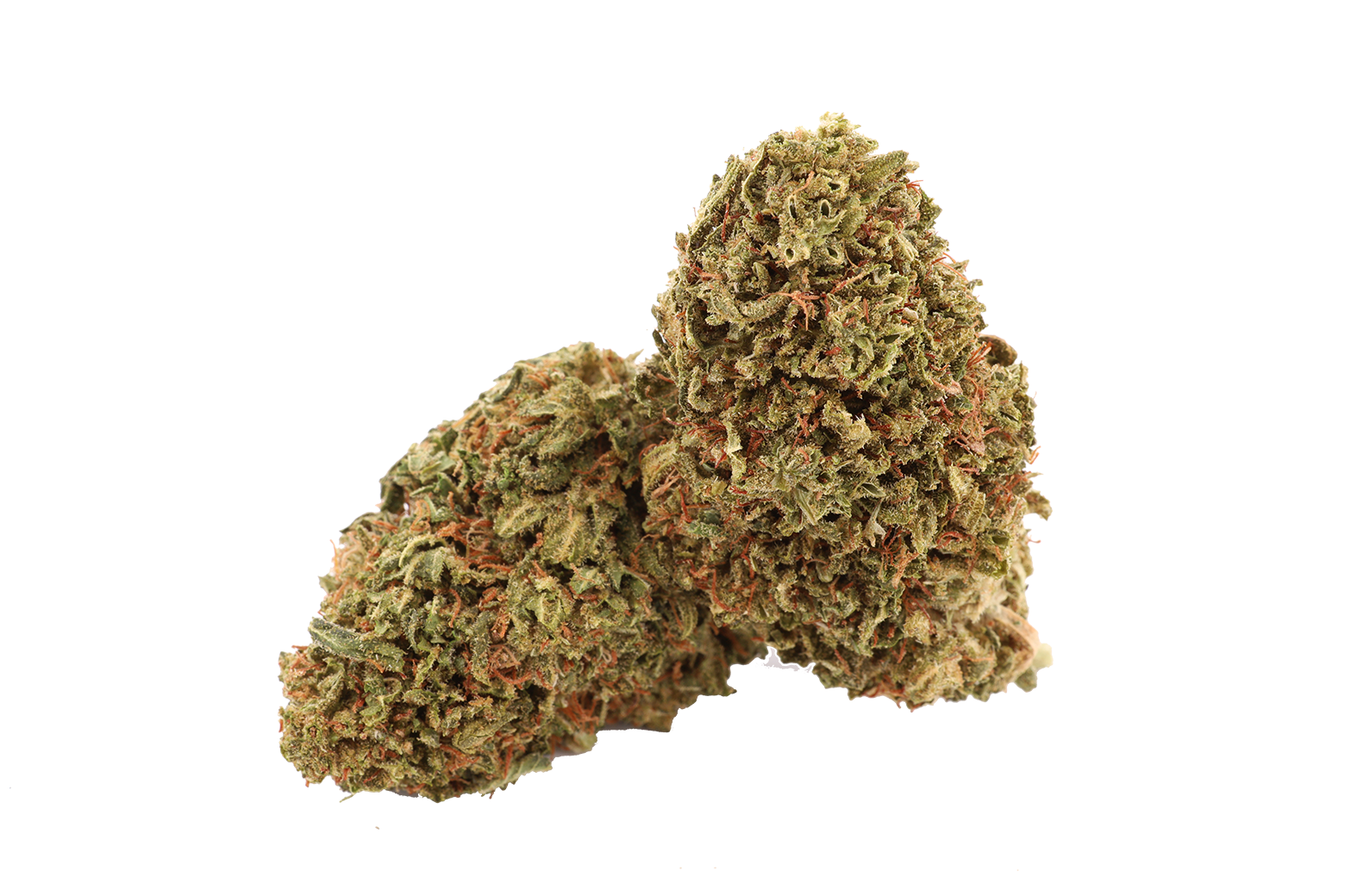Amnesia Haze CBD