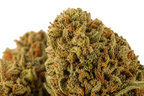 Amnesia Haze CBD
