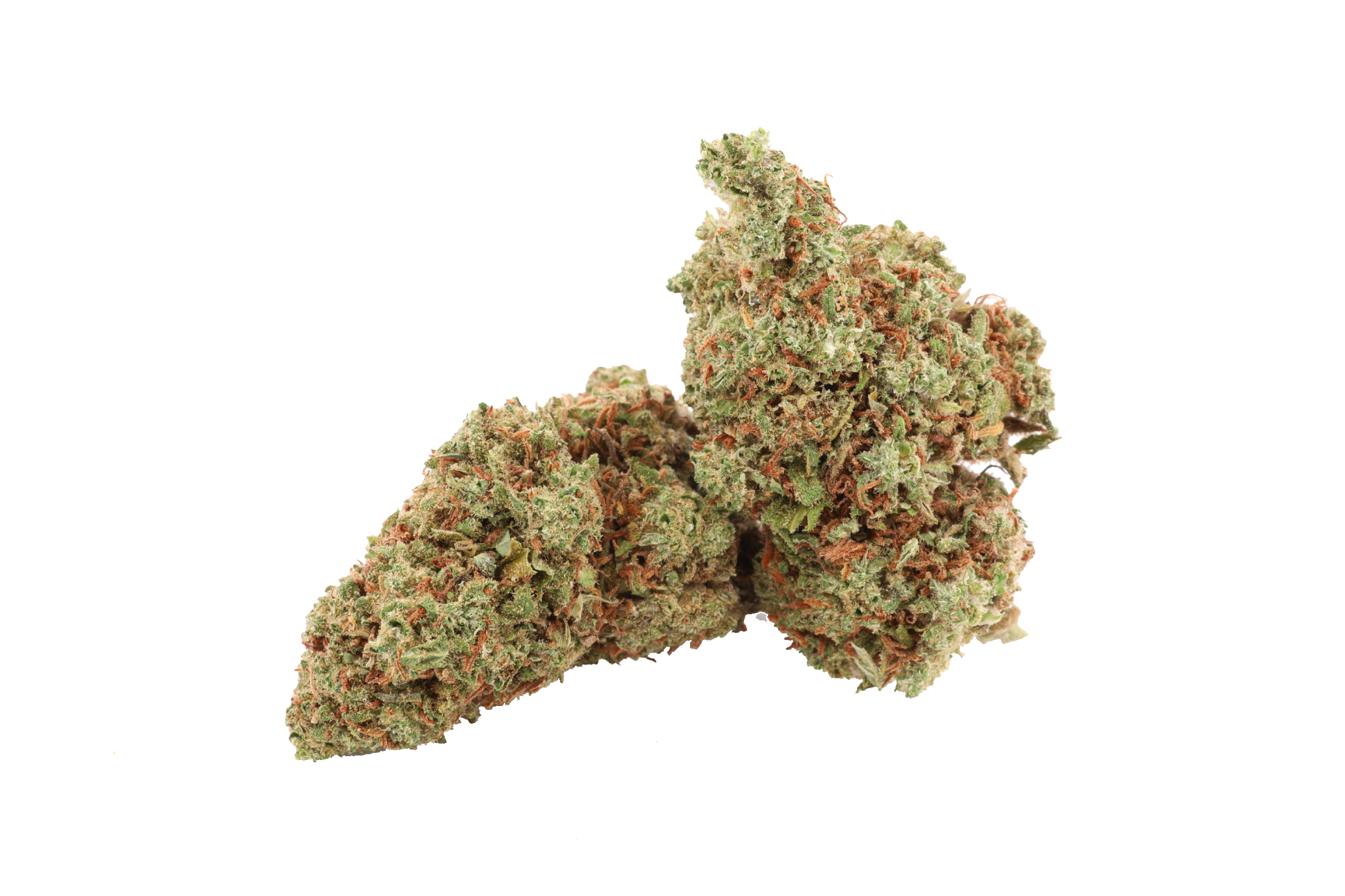Banana Cream CBD