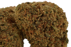 Green Crack CBD