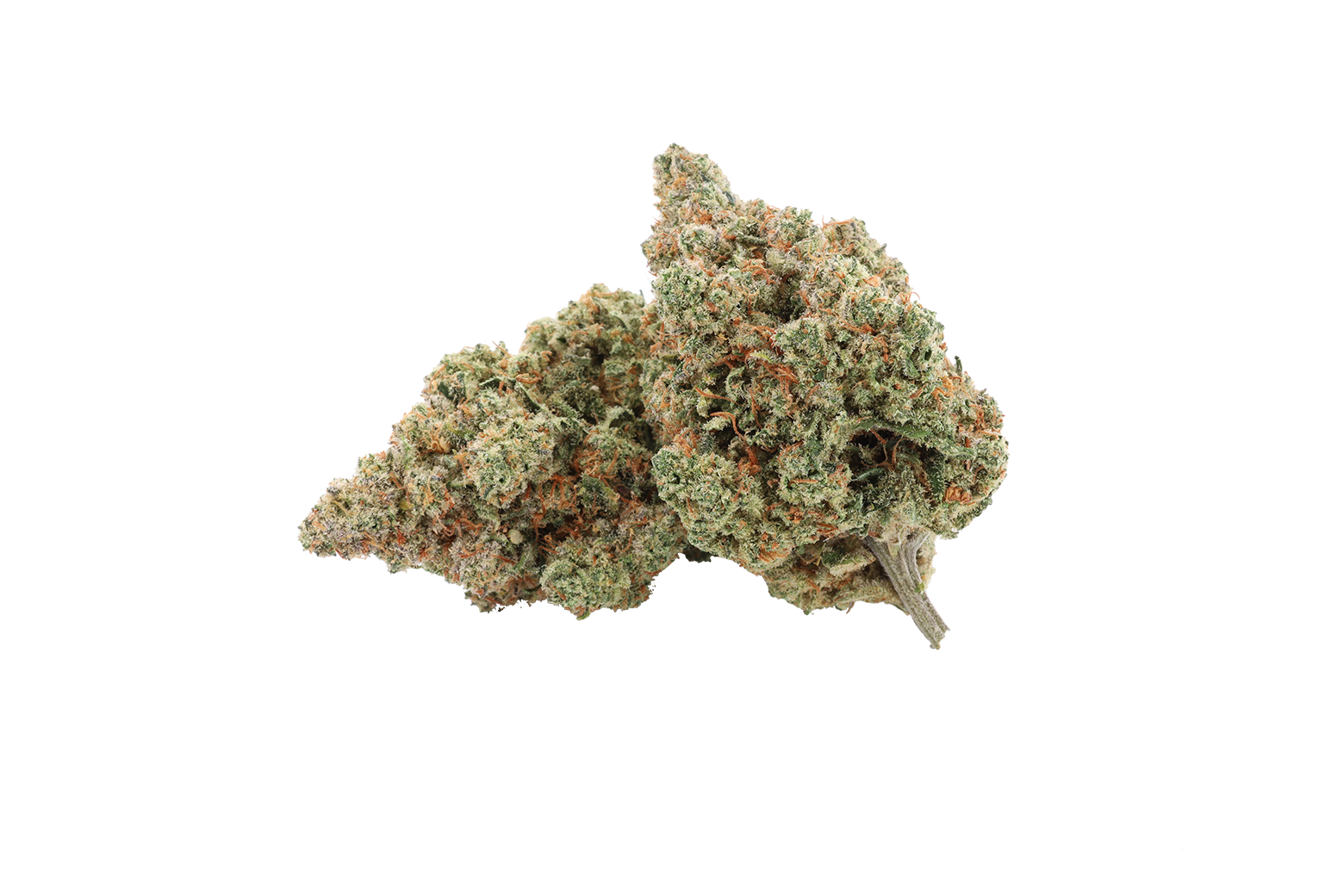 L.A Amnésia CBD