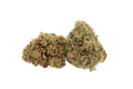 White Berry CBD