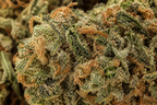 Green Crack CBD