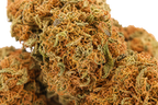 Tangie CBD