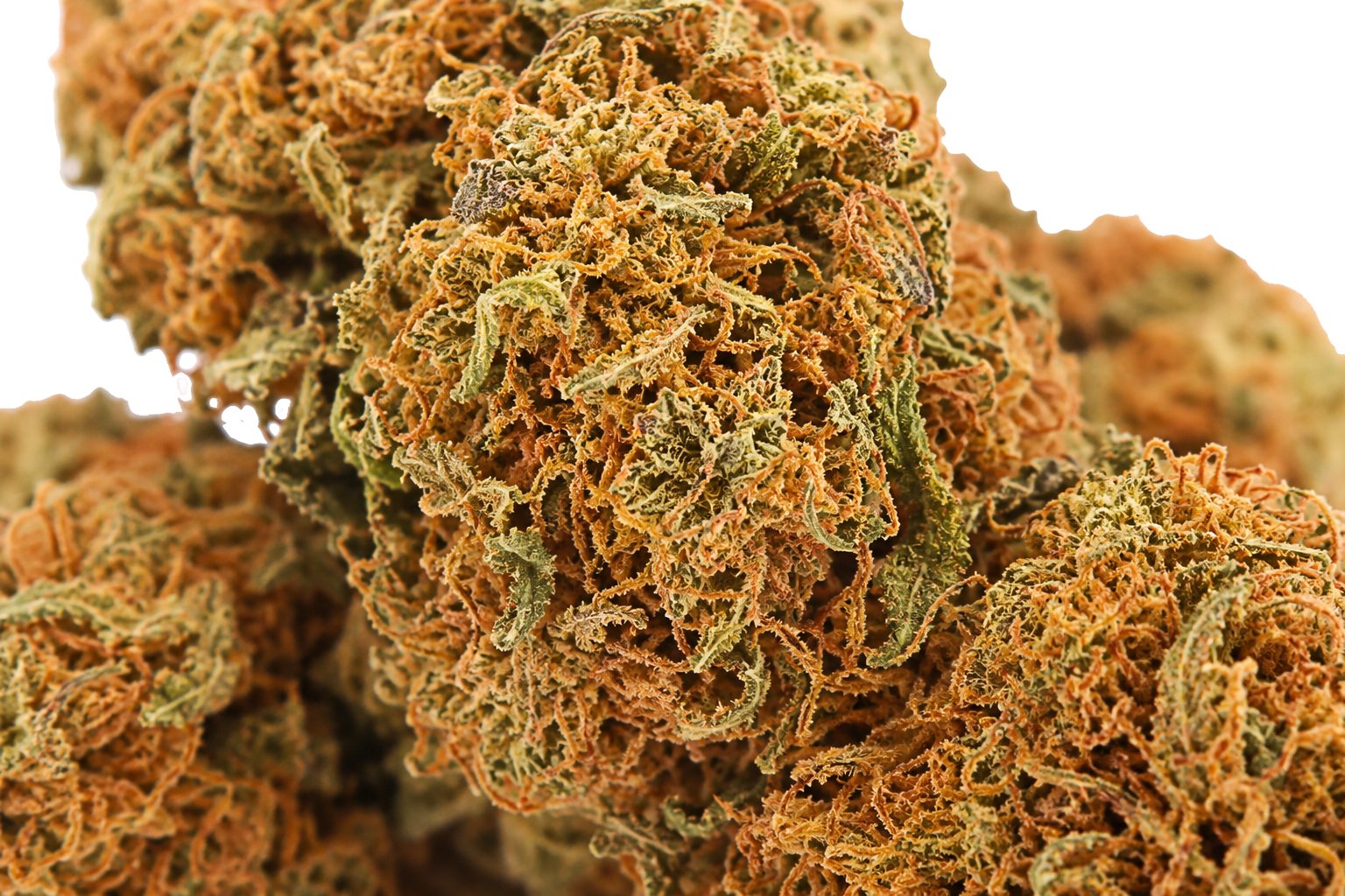 Tangie CBD