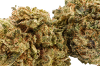 White Berry CBD