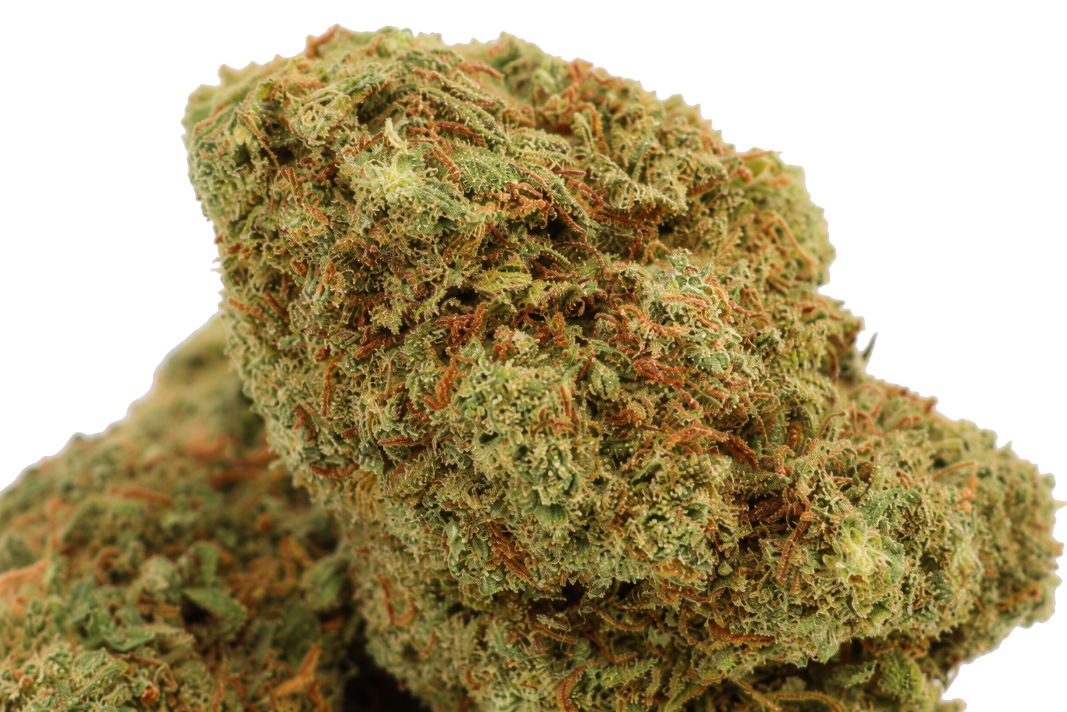 Banana Cream CBD