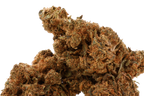 Caramello CBD
