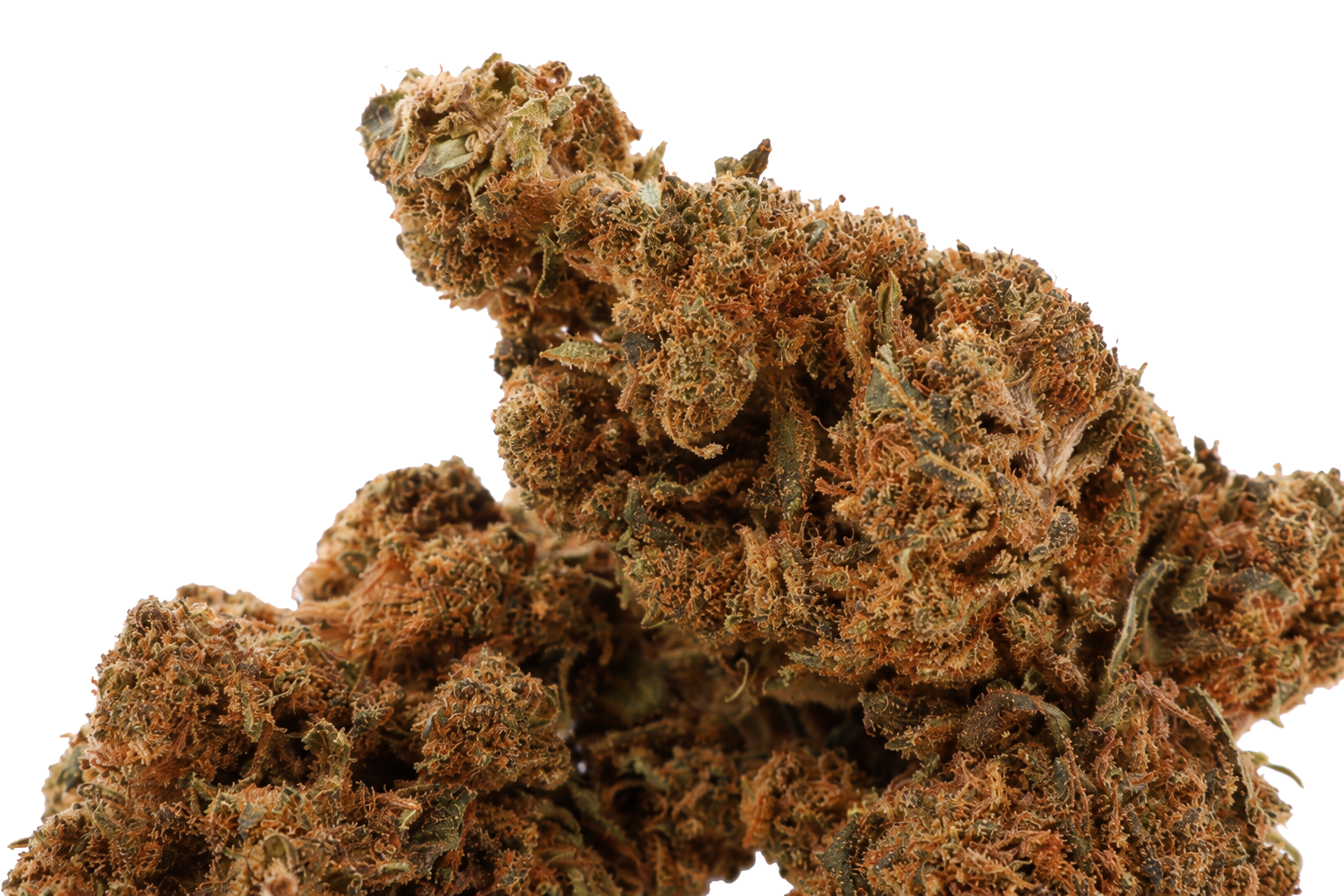 Caramello CBD