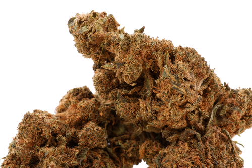 Caramello CBD