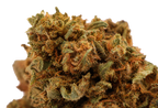 Strawberry CBD
