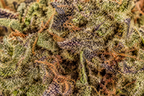 Blue Mandarine CBD